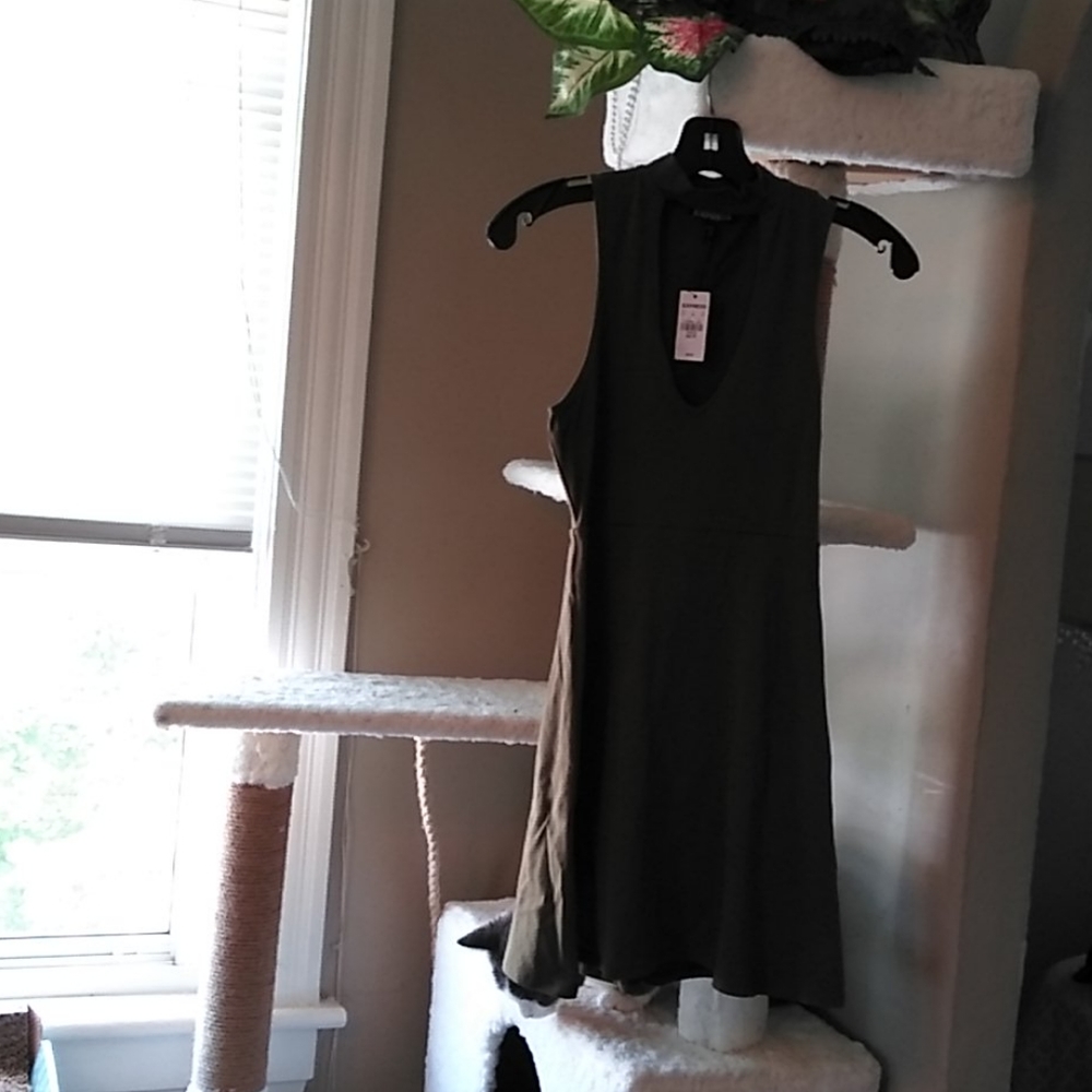 Express Stretch Fun 👗Dress